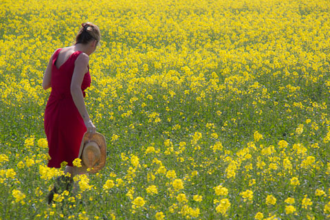 Model in Red in field of yellow