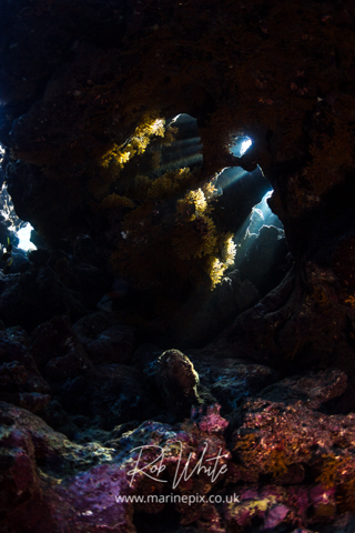 MarinePix - Wrecks and Caves